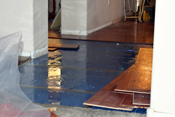 Professional Sewage Cleanup technician working in Fraser, MI